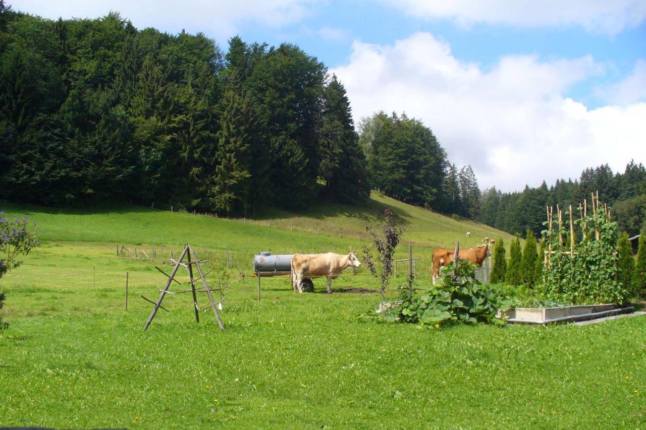 Ferienwohnungen Wanderparadies อัสเชา อิม คีมเกา ภายนอก รูปภาพ
